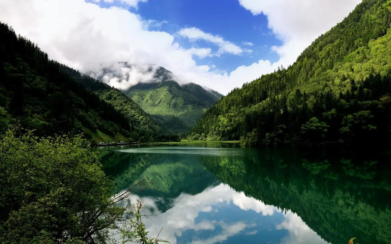 高效稳定性高端